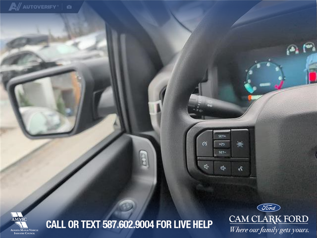 2025 Ford F-150 XL (Stk: 25CT9025) in Canmore - Image 17 of 25