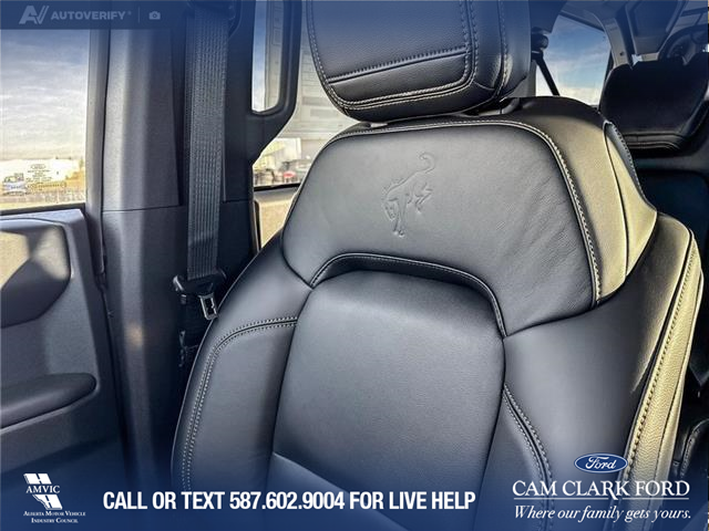 2025 Ford Bronco Badlands (Stk: 25S6227) in Red Deer - Image 20 of 25