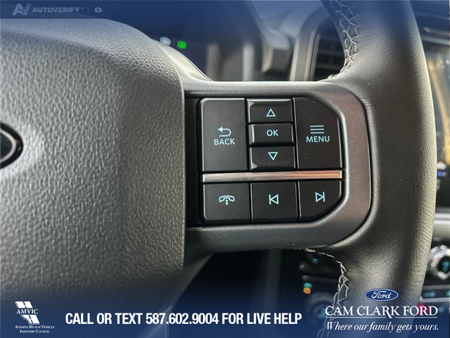 2025 Ford F-150 XLT (Stk: 25AT3596A) in Airdrie - Image 16 of 25