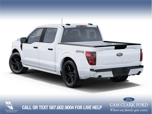 2025 Ford F-150 STX (Stk: 25T9345) in Red Deer - Image 2 of 7