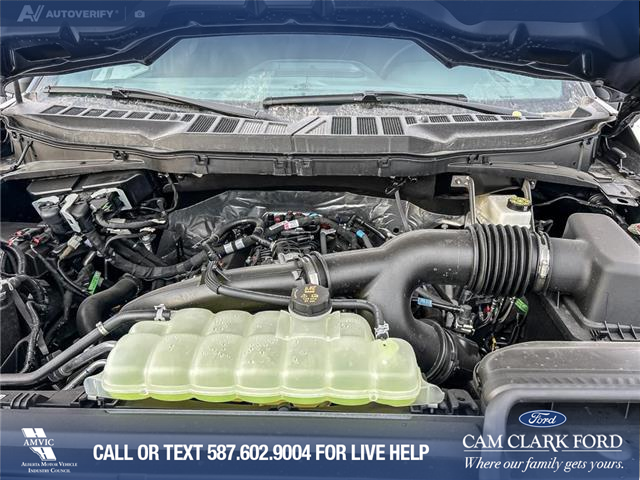 2025 Ford F-150 XLT (Stk: 25AT4374) in Airdrie - Image 10 of 25