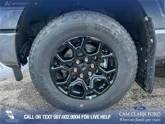 2025 Ford F-150 XLT (Stk: 25AT4380A) in Airdrie - Image 6 of 25