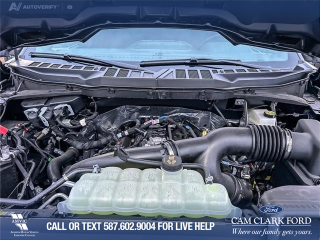 2025 Ford F-150 XLT (Stk: 25AT4380A) in Airdrie - Image 10 of 25