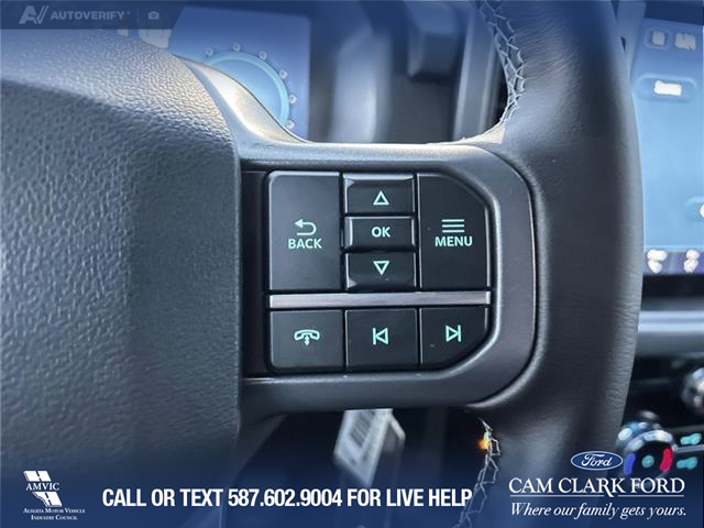 2025 Ford F-150 XLT (Stk: 25AT9469) in Airdrie - Image 16 of 25