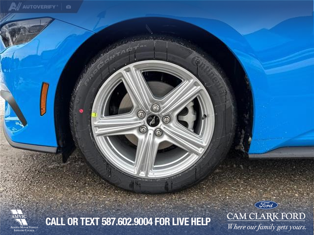 2026 Ford Mustang EcoBoost (Stk: 26C2902) in Olds - Image 6 of 25