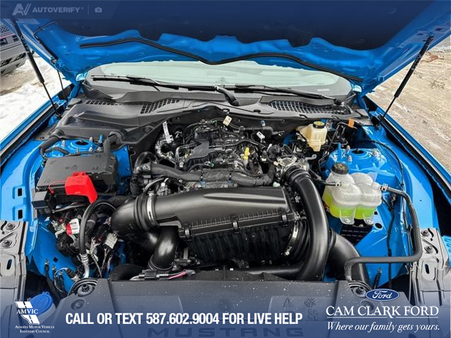 2026 Ford Mustang EcoBoost (Stk: 26C2902) in Olds - Image 10 of 25