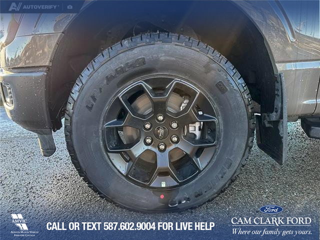 2025 Ford F-150 STX (Stk: 25T4170) in Olds - Image 6 of 25