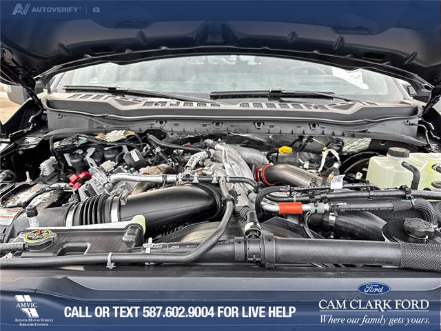 2026 Ford F-350 Platinum (Stk: 26T0655) in Red Deer - Image 10 of 24 2026 Ford F-350 Platinum (Stk: 26T0655) in Red Deer - Image 10 of 24