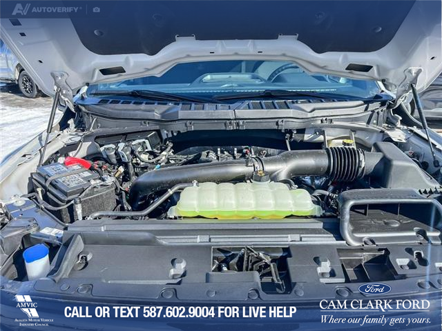 2026 Ford F-150 XLT (Stk: 26T2825) in Olds - Image 10 of 25 2026 Ford F-150 XLT (Stk: 26T2825) in Olds - Image 10 of 25