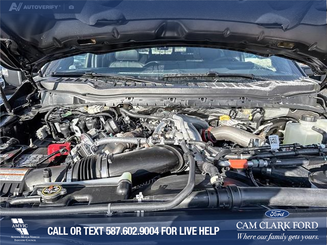 2026 Ford F-350 Platinum (Stk: 26T4154) in Red Deer - Image 10 of 24 2026 Ford F-350 Platinum (Stk: 26T4154) in Red Deer - Image 10 of 24