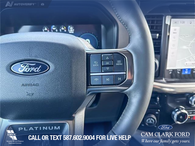 2026 Ford F-150 Platinum (Stk: 26T0810) in Red Deer - Image 15 of 24