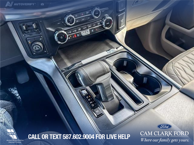 2026 Ford F-150 Platinum (Stk: 26T0810) in Red Deer - Image 17 of 24