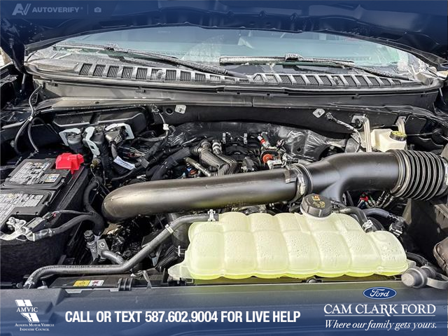 2026 Ford Expedition Platinum (Stk: 26F8814) in Red Deer - Image 10 of 25