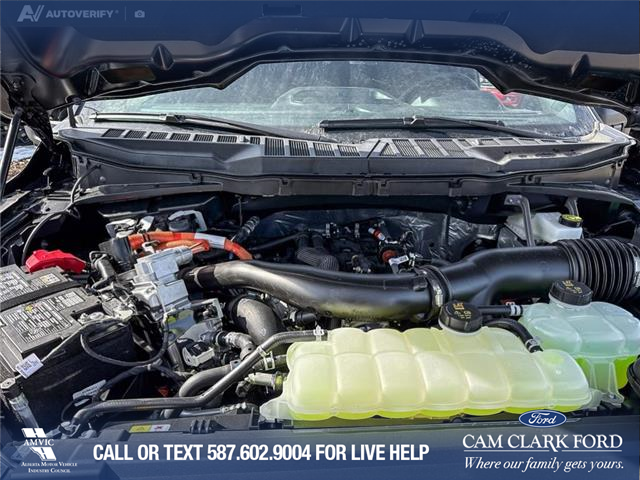 2026 Ford F-150 XLT (Stk: 26T8392) in Red Deer - Image 10 of 24