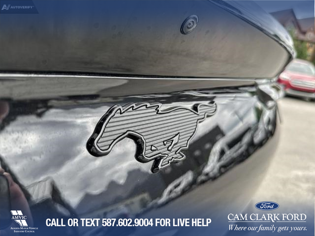 2023 Ford Mustang Mach-E Premium (Stk: 23CS9557) in Canmore - Image 10 of 25