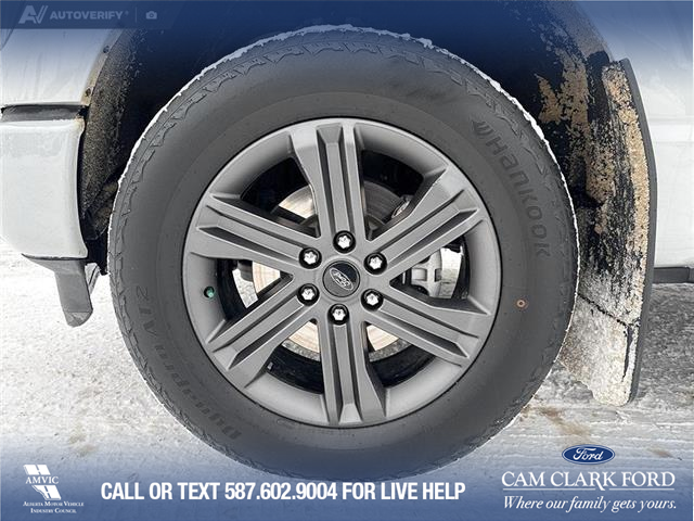 2023 Ford F-150 XLT (Stk: P6840) in Olds - Image 6 of 25