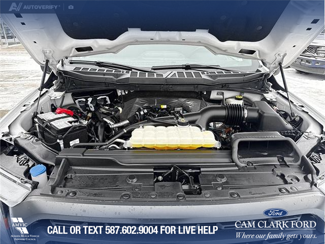 2023 Ford F-150 XLT (Stk: P6840) in Olds - Image 8 of 25