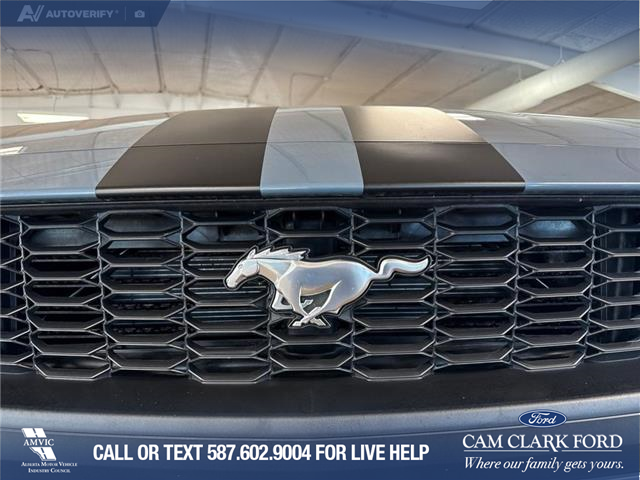 2025 Ford Mustang EcoBoost Premium (Stk: P14738) in Airdrie - Image 9 of 25
