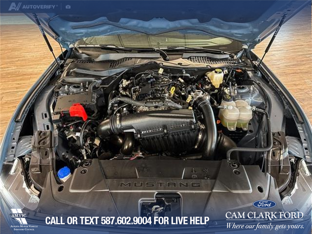 2025 Ford Mustang EcoBoost Premium (Stk: P14738) in Airdrie - Image 10 of 25
