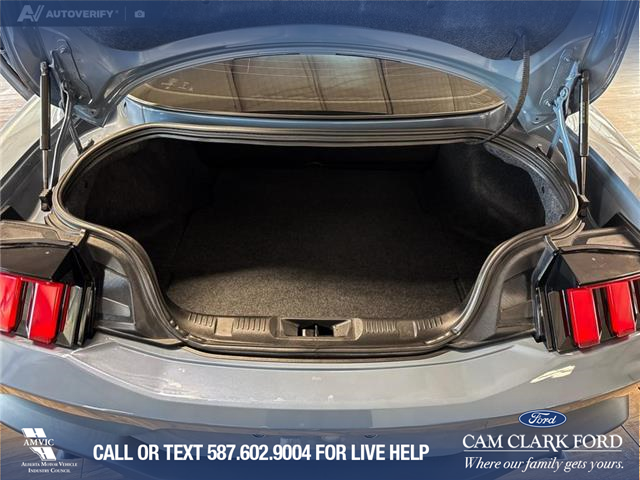 2025 Ford Mustang EcoBoost Premium (Stk: P14738) in Airdrie - Image 11 of 25