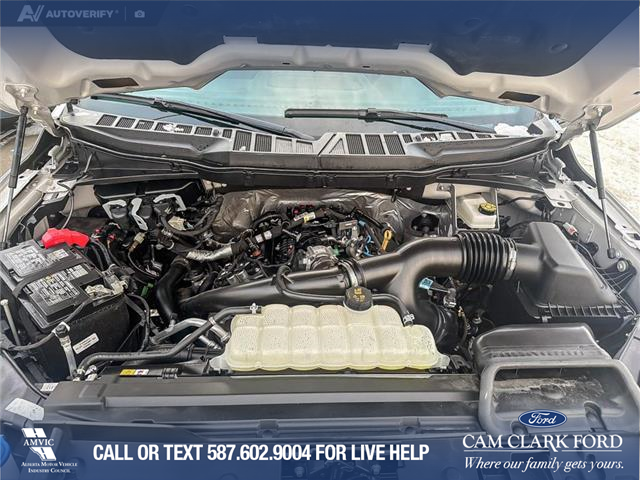 2025 Ford F-150 XLT (Stk: P6873) in Olds - Image 10 of 25