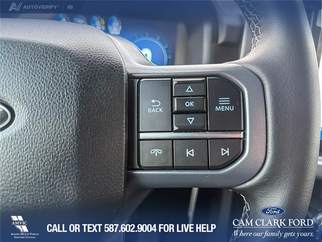 2025 Ford F-150 XLT (Stk: P6873) in Olds - Image 16 of 25