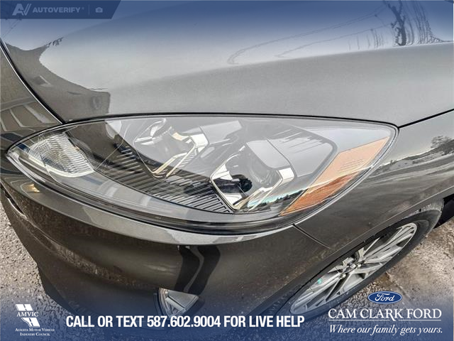 2020 Ford Escape SEL (Stk: P6817) in Olds - Image 8 of 25