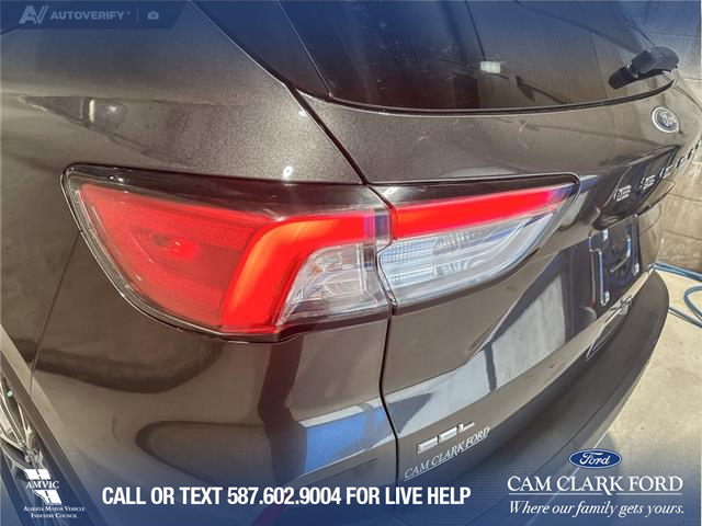 2020 Ford Escape SEL (Stk: P6817) in Olds - Image 11 of 25