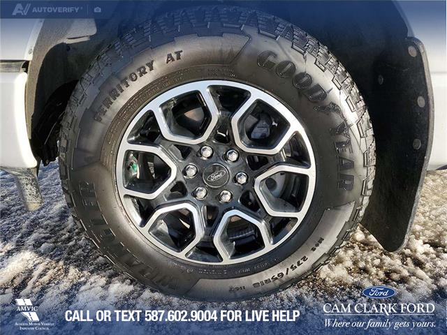 2023 Ford F-150 XLT (Stk: U37680) in Red Deer - Image 6 of 25