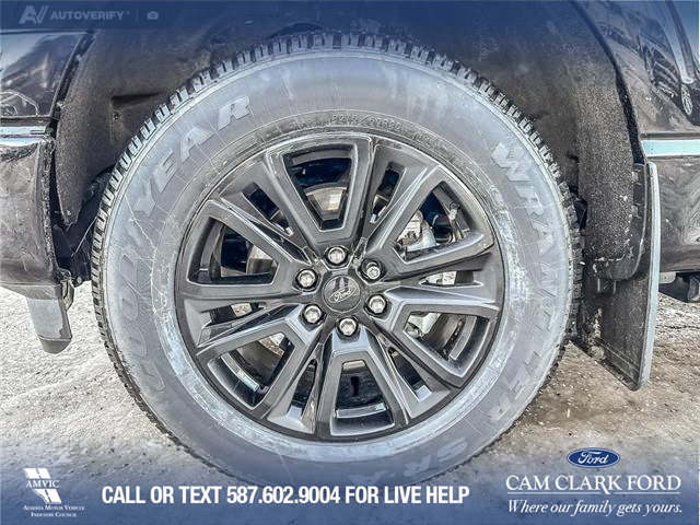 2024 Ford F-150 Platinum (Stk: P6878) in Olds - Image 6 of 24