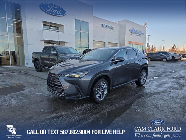 2023 Lexus NX 350 Base (Stk: P6895) in Olds - Image 1 of 5