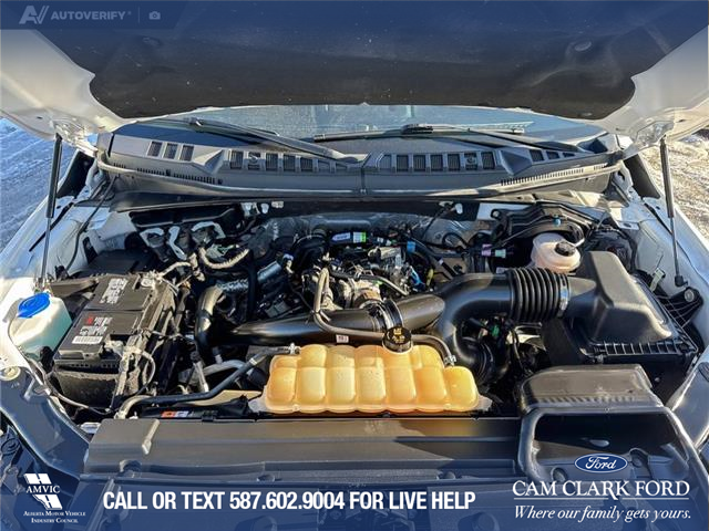 2020 Ford F-150 XLT (Stk: P1580) in Canmore - Image 10 of 27