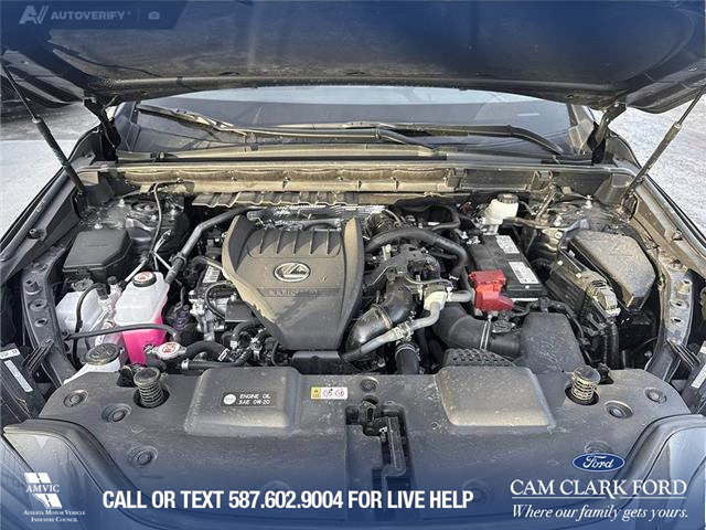 2023 Lexus NX 350 Base (Stk: P6895) in Olds - Image 10 of 25