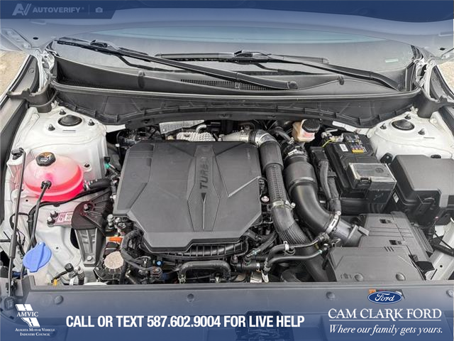 2024 Hyundai Santa Cruz Ultimate (Stk: P6853) in Olds - Image 10 of 25