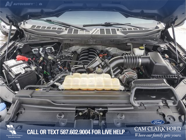 2023 Ford F-150 XLT (Stk: U37861) in Red Deer - Image 8 of 23