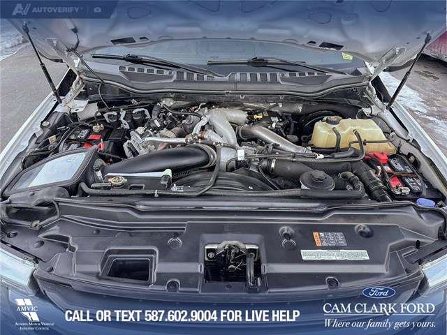 2020 Ford F-350 King Ranch (Stk: P1515) in Canmore - Image 10 of 27