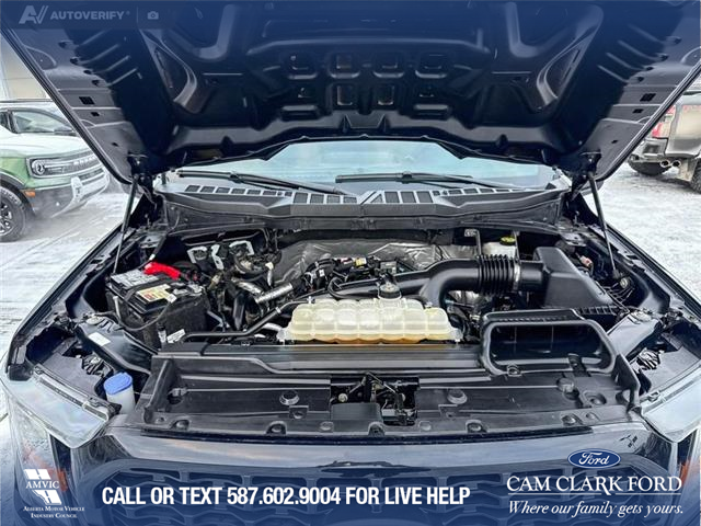 2023 Ford F-150 XL (Stk: P6862) in Olds - Image 10 of 23