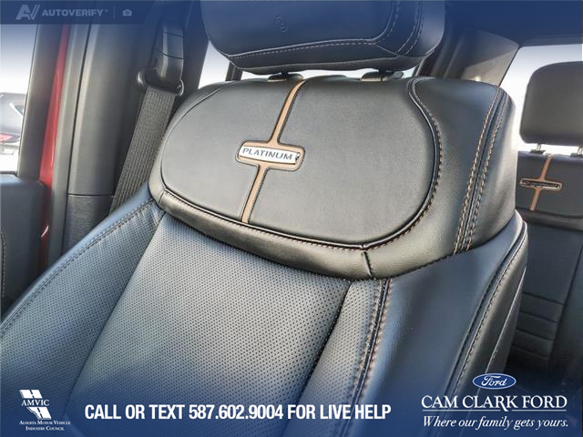 2023 Ford F-150 Platinum (Stk: U37934) in Red Deer - Image 20 of 25