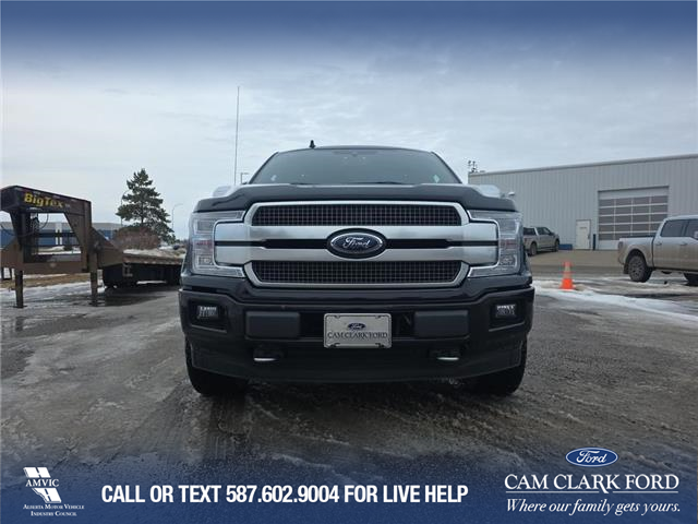 2020 Ford F-150 Platinum (Stk: U37948) in Red Deer - Image 2 of 6