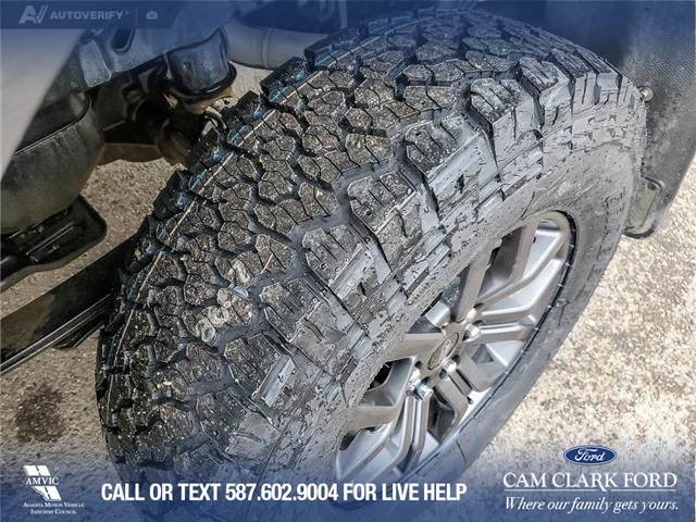 2023 Ford F-150 Tremor (Stk: U37930) in Red Deer - Image 7 of 25