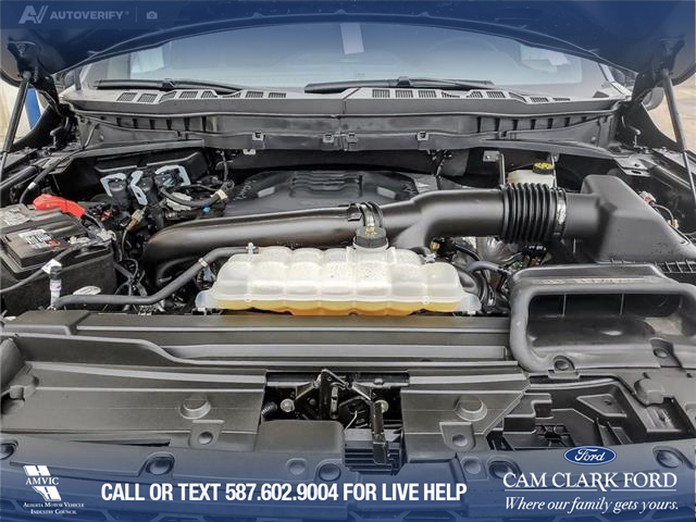 2023 Ford F-150 Tremor (Stk: U37930) in Red Deer - Image 10 of 25