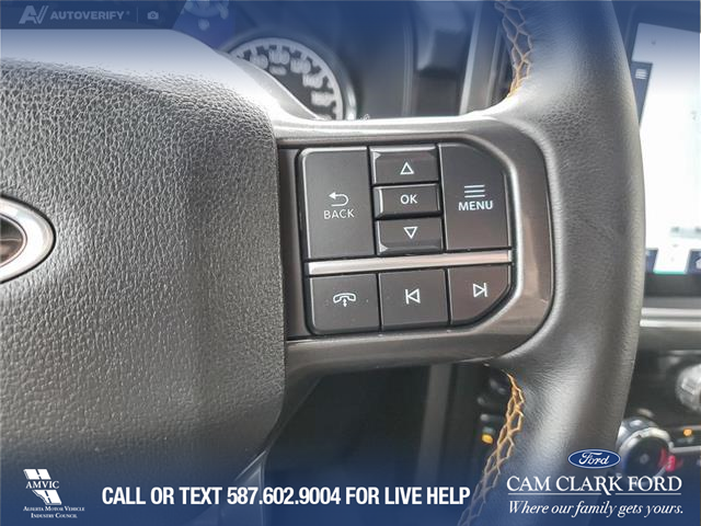 2023 Ford F-150 Tremor (Stk: U37930) in Red Deer - Image 16 of 25
