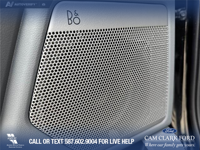 2025 Ford F-150 Lightning Flash (Stk: P1591) in Canmore - Image 18 of 27