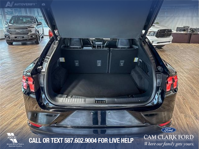 2023 Ford Mustang Mach-E Premium (Stk: RC20010) in Airdrie - Image 12 of 25