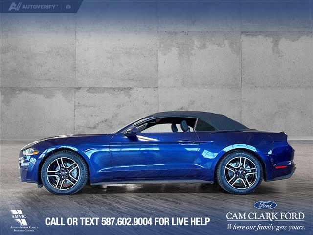 2020 Ford Mustang EcoBoost (Stk: P14825) in Airdrie - Image 3 of 25