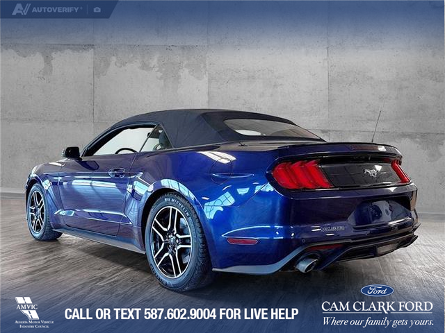 2020 Ford Mustang EcoBoost (Stk: P14825) in Airdrie - Image 4 of 25