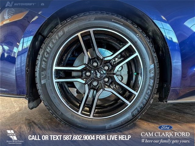 2020 Ford Mustang EcoBoost (Stk: P14825) in Airdrie - Image 6 of 25