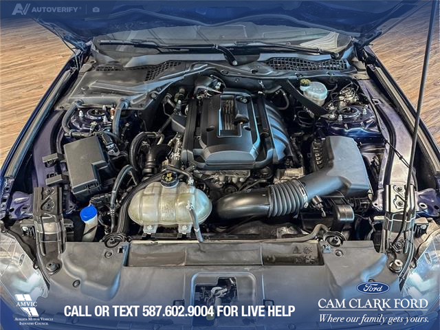 2020 Ford Mustang EcoBoost (Stk: P14825) in Airdrie - Image 10 of 25