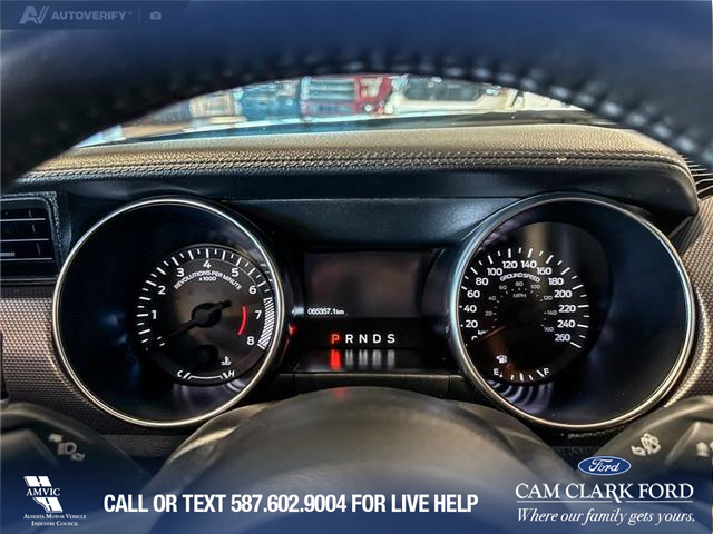2020 Ford Mustang EcoBoost (Stk: P14825) in Airdrie - Image 15 of 25