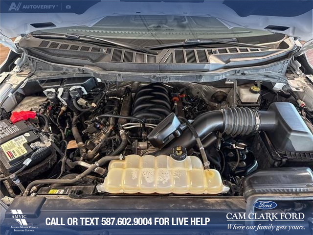 2021 Ford F-150 XLT (Stk: RC19979) in Airdrie - Image 10 of 24